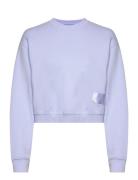 Jumper Cropped Replay Blue