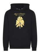 Rare Plants Hood Stan Ray Black