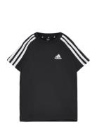 Lk 3S Co Tee Adidas Sportswear Black