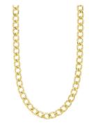 Charm Recycled Curb Necklace Pilgrim Gold
