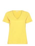 Crnaia Deep V-Neck T-Shirt Cream Yellow