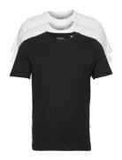 Jjeorganic Basic Tee Ss O-Ne 3Pk Mp Noos Jack & J S Black