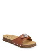 Sl Pescura Margot Leather Scholl Brown
