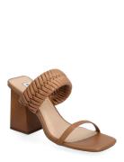 Raver Sandal Steve Madden Brown