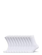 Bo.10P Crew Sock Frank Dandy White