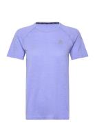 Odlo T-Shirt Crew Neck S/S Essential Seamless Odlo Purple