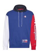 Hooded Sweatshirt Champion Blue