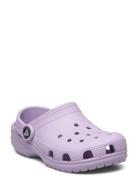 Classic Clog T Crocs Purple