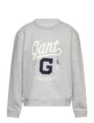 Relaxed Graphic Sweat C-Neck GANT Grey