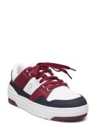 Th Lo Basket Sneaker Tommy Hilfiger White