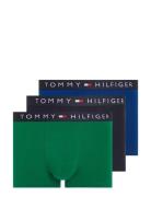 3P Trunk Tommy Hilfiger Green