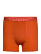 Men Anatomica Boxers Icebreaker Orange