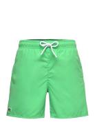 Swimwear Lacoste Green