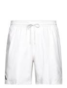 Ergo Shorts Adidas Performance White