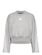 Future Icons 3-Stripes Sweatshirt Adidas Sportswear Grey
