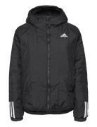 Itavic 3-Stripes Light Hooded Jacket Adidas Sportswear Black