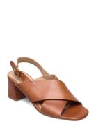 Sandals - Block Heels ANGULUS Brown