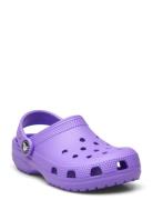 Classic Clog K Crocs Purple