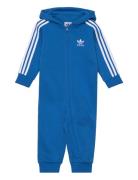 Sie Adidas Originals Blue