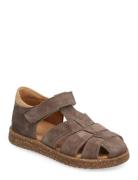 Sandals - Flat - Closed Toe - ANGULUS Brown