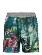 Swimming Shorts Sun City Jurassic Park Patterned