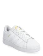 Superstar Xlg J Adidas Originals White