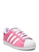 Superstar C Adidas Originals Pink