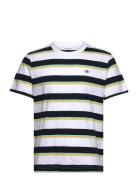 Striped T-Shirt Tom Tailor White
