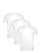 Bs Antiqua Regular Fit T-Shirt Bruun & Stengade White