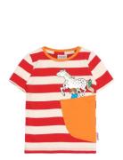 Pippi Stripe T-Shirt Martinex Red