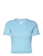 Tree Cropped Tee HOLZWEILER Blue