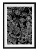 Poster Abstract Plant Democratic Gallery Black
