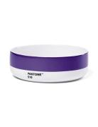 Pant Bowl PANT Purple