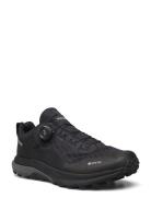 Anaconda Trail Low Gtx Boa M Viking Black