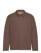 Canzu Soft Cotton Rue De Tokyo Brown