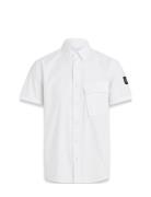 Scale Short Sleeve Shirt Belstaff White