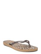 Hav Slim Animals Havaianas Brown