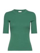 Dagnaiw T-Shirt InWear Green