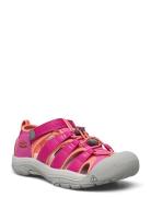 Ke Newport H2 Y Berry-Fusion  KEEN Pink