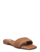 Allure Sandal Steve Madden Brown