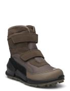 Biom K2 ECCO Brown