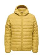 Onsbron Hood Quilt Jacket Otw Vd ONLY & SONS Yellow