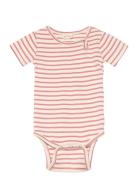 Body S/S Modal Striped Petit Piao Red