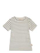 T-Shirt S/S Modal Striped Petit Piao Blue