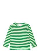 Tnsfinn L_S Rib Tee The New Green