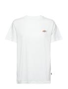 Mapleton Ss Tee Dickies White