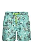 Paradise Swim Shorts Sebago Blue