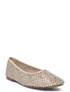 Marli Ballerinas Steve Madden Beige