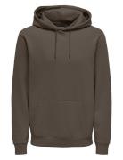 Onsceres Hoodie Sweat Noos ONLY & SONS Brown