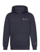 Hooded Sweatshirt Champion Navy